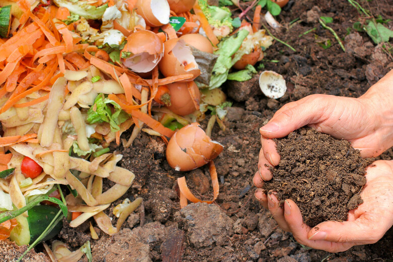 Le compostage / Découvrir et pratiquer / Envie de nature ? / Que