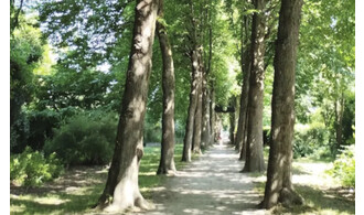 Balade nature - 23/7