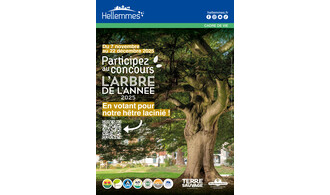 Concours de l'arbre de l'année 2025