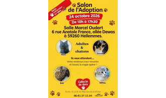 Salon de l'adoption - 24/10