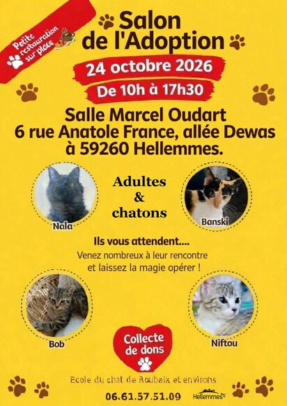 Salon de l'adoption - 24/10